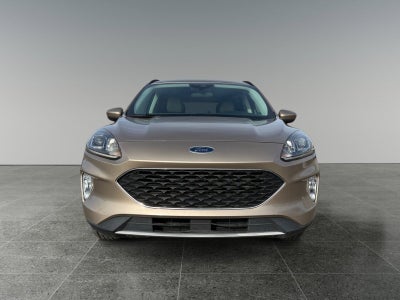 2021 Ford Escape Hybrid SEL