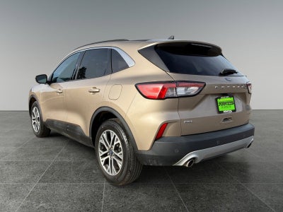 2021 Ford Escape Hybrid SEL
