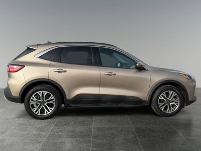 2021 Ford Escape Hybrid SEL