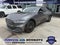 2023 Ford Mustang Mach-E California Route 1